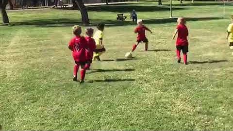 Incredible 6U soccer goal