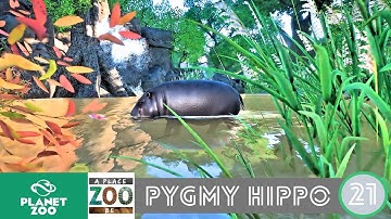 Pygmy Hippo Habitat with Waterfall - Speed Build - Planet Zoo Franchise - [S01E21]