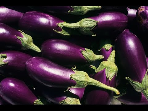 ბადრიჯანი კიბოს უჯრედებს ამცირებს