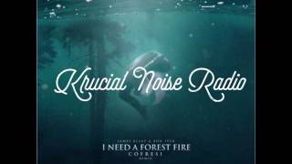 James Blake - I Need A Forest Fire ft. Bon Iver (COFRESI Remix)