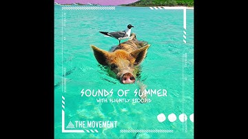 The Movement - Sounds Of Summer (with @Slightly Stoopid) [Official Audio]