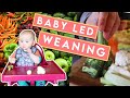 Baby Led weaning 7 months old + Food ideas, Grocery Haul | Meal prep for BABY!