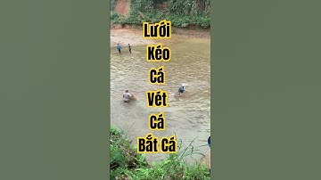 Lưới kéo cá vét cá Ao Sông Hồ Đầm Ruộng Lúa lưới kéo cá bắt cá tôm tép lưới kéo cá sợi dù nhật bản