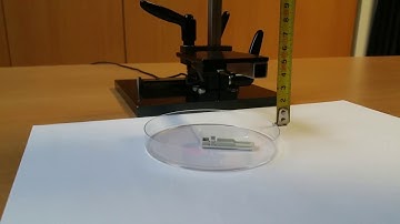 Rilevazione affidabile di Dischi di Petri – Parte 1