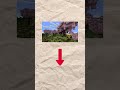 2 curiosidades de #minecraft