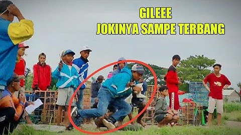 Lomba Jagungan Merpati Balap Sprint