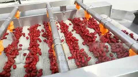 Automatic Date Washing and Drying Machine|Date Processing Machine