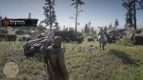 Rescue Sean from Bounty Hunters in Blackwater RDR2