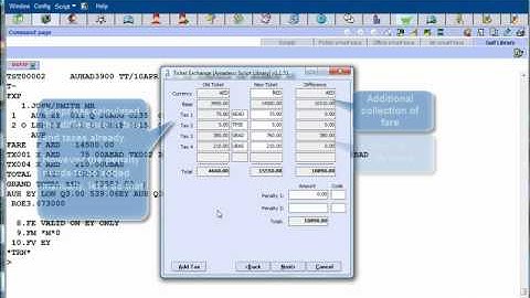 Amadeus Exchange Script Video.avi