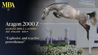Aragon 2000 Z Aragon 2000 Z