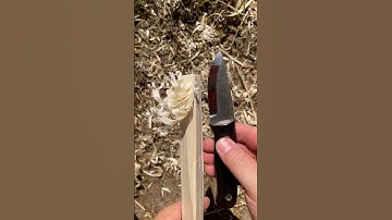 S#0109 ⚡ Small Bushcraft Knife by Pietro Feather Stick Making Fuzz Stick Featherstick Curles