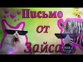 Письмо от Зайса/Nika Like♥♥♥