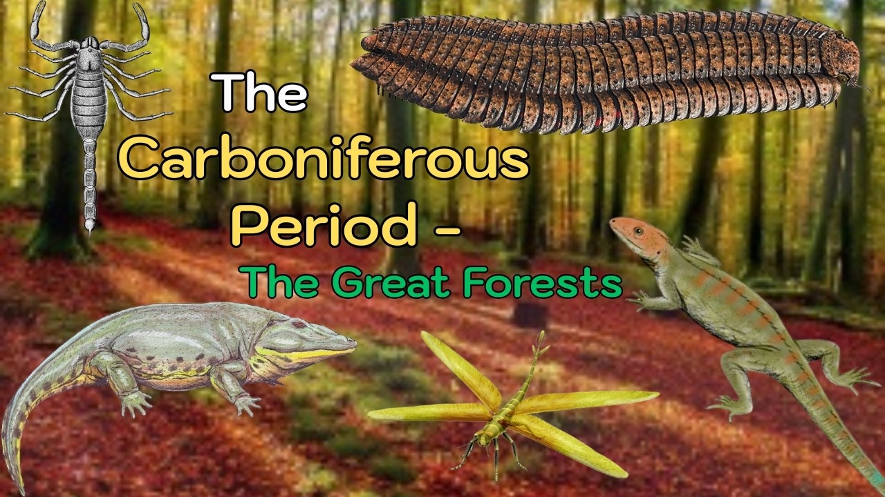 The Carboniferous Period- The Great Forests