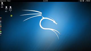 Syracuse Ist 448 Pineapple Nano Demonstration