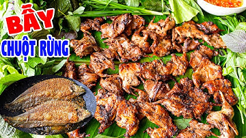 Gài Bẫy Chuột Rừng Trong Rưng U Minh - Dính Liền Cái