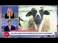 Αντιδράσεις για «παράθυρο» αμνήστευσης όσων εξαπάτησαν των ΟΠΕΚΕΠΕ – Τι απαντά το Υπουργείο