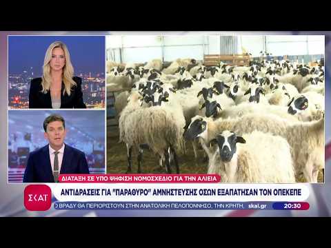Αντιδράσεις για «παράθυρο» αμνήστευσης όσων εξαπάτησαν των ΟΠΕΚΕΠΕ – Τι απαντά το Υπουργείο