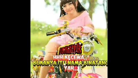 dj bisane mung nyawang versi quotes