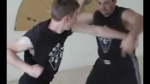 Monkey Kung Fu Applications