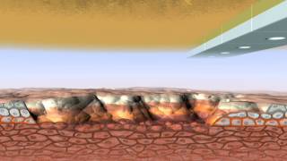 InkJet printing of cells