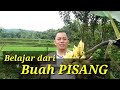 Belajar dari buah pisang  kang rubast