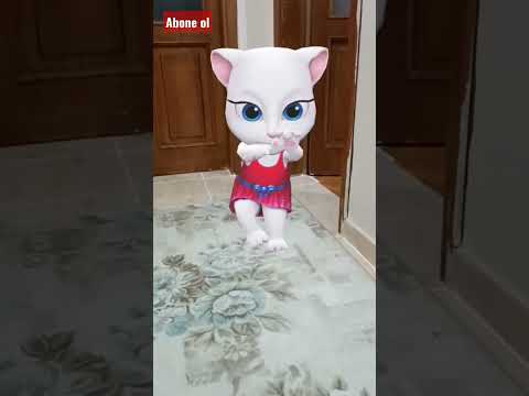 kedi videoları!!#kediler #kedi #kediangela#shorts