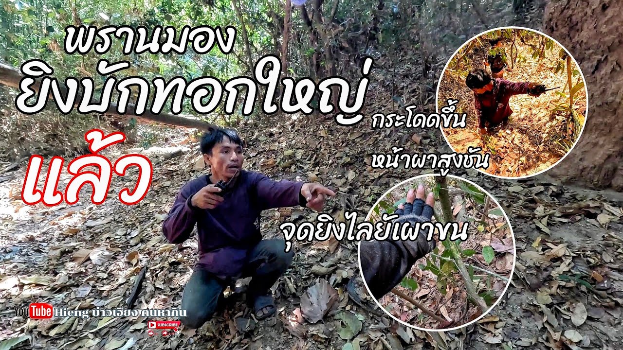 ทีมงานยิงหมูป่า//ທີມງານຍິງຫມູປ່າ Hieng บ่าวเฮียง คนหาากิน