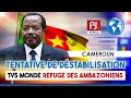 Cameroun  tentative de dstabilisation  tv5 monde refuge des ambazoniens 