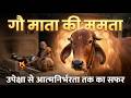 गौ माता की ममता: उपेक्षा से आत्मनिर्भरता तक का सफर#CowProtection #AtmaNirbharBharat #SelfReliance