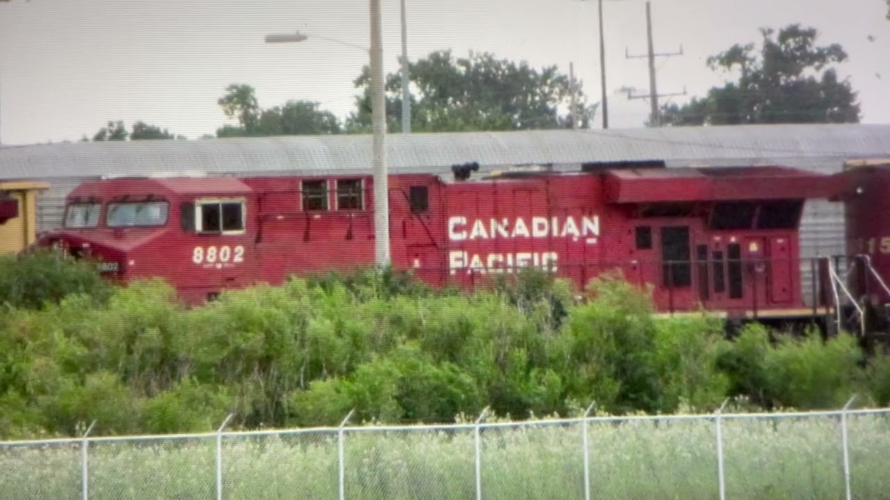 Cp 8802 and his horn is broken