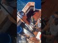 【神回】ルアーでマグロが爆釣!ナブラに投げたら一発で喰ったwww【オフショア海釣り】