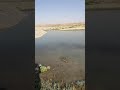 راوه ماسى صيد السمك كارب 