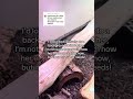 Northern blue tongue skink enclosure tour!