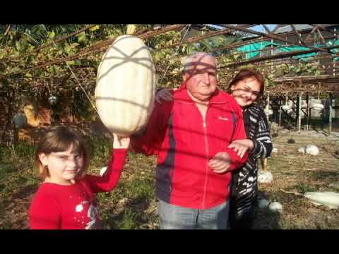 ანზორ ჯაფარიძის კარ  მიდამო   -თბილი დღე და სიმშვენიერე --