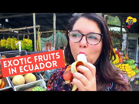 11 Awesome Fruit in Ecuador You’ll Love | ECUADORIAN FOOD 2022