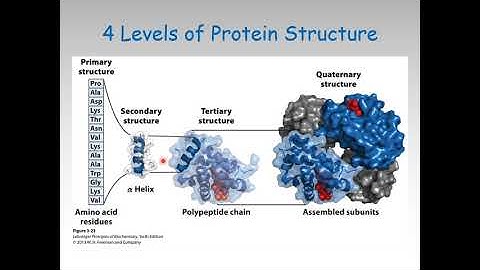 Chapter-3, Amino Acids, Peptides, and Proteins: Part-3