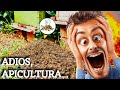 ¿QUÉ PASÓ CON MIS ABEJAS? | ADIOS APICULTURA