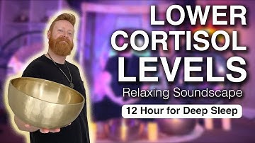 Lower Cortisol Levels with This Soothing Soundscape | Healing Frequencies to Sleep