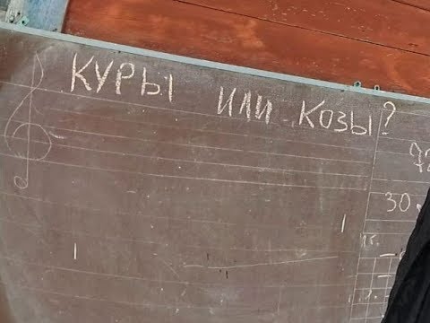 Выгоднее куры или козы