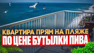 Лучшие квартиры в Сочи на первой береговой!