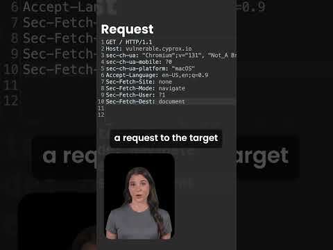 Content-Security-Policy