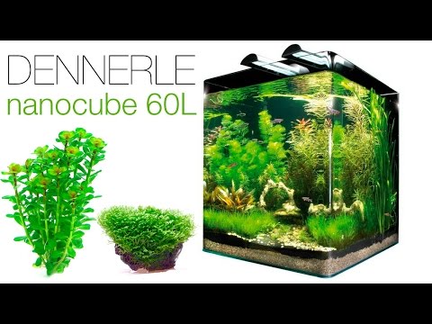 ► Dennerle nanocube