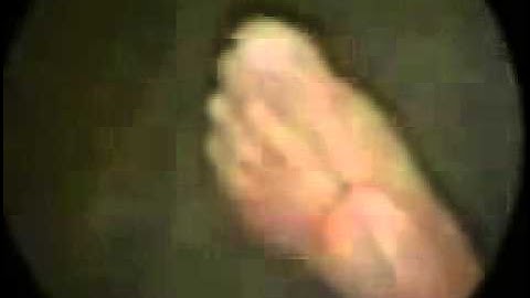 تلاوة للشيخ قاسم فضائل
