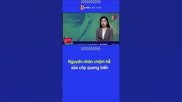 Nguyên nhân chậm trễ sửa cáp quang biển | Tin Tức Dân Sinh  #shorts