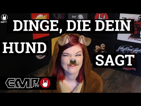 Video: 15 Dinge, die Ihr Hund sagen würde, wenn er sprechen könnte