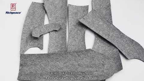 Richpeace Cutting Machine with Inkjet Printing and Pen Drawing Functions