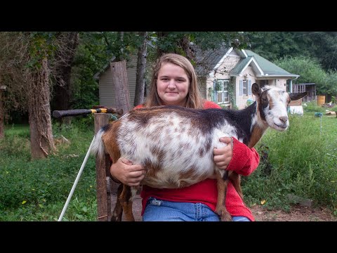 Other Ways to Weigh a Goat (and a Mani/Pedi)!
