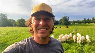 Starting Stockpile and Balancing Rumen on the Small, Grass-fed Farm