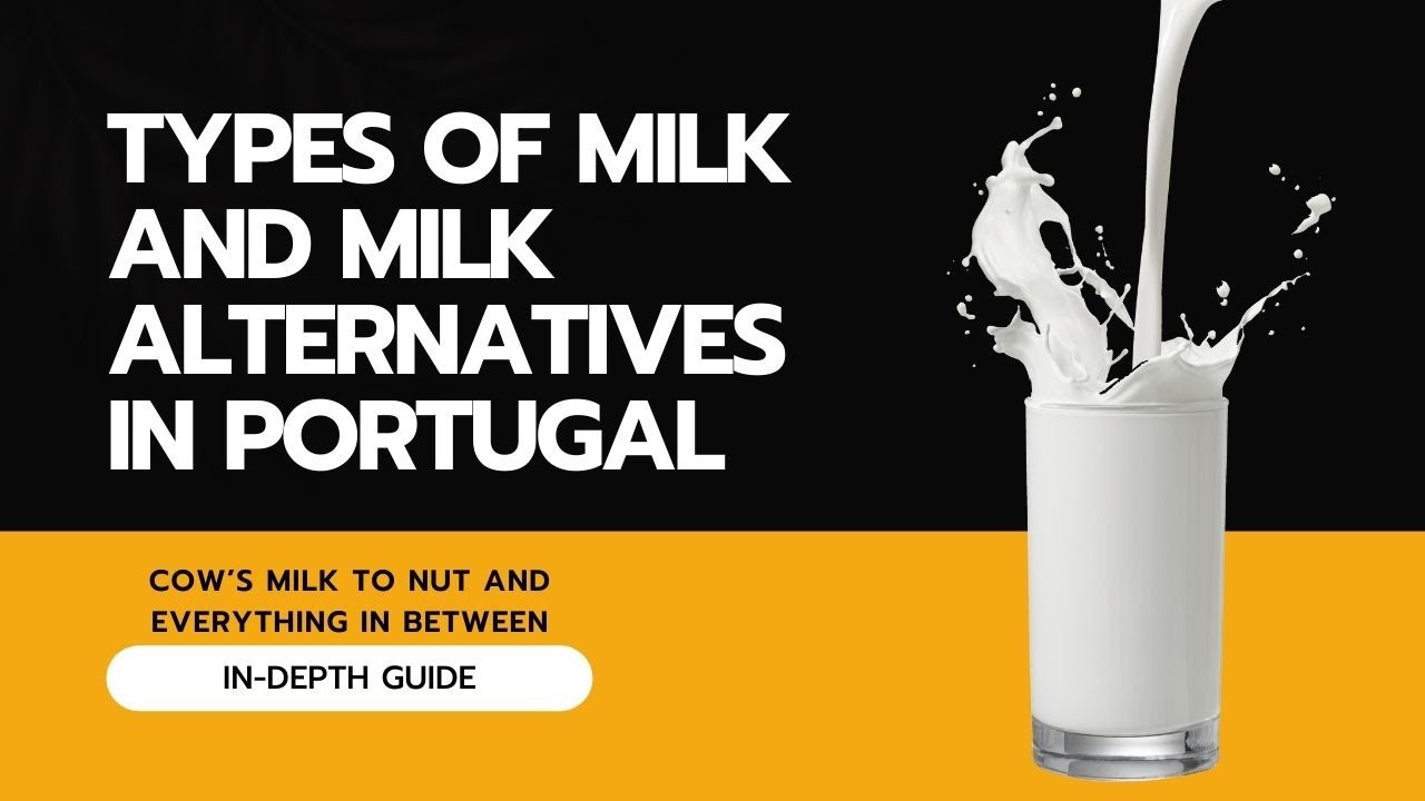 types-of-milk-and-milk-alternatives-in-portugal-shop-with-confidence