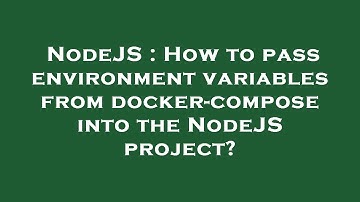 NodeJS : How to pass environment variables from docker-compose into the NodeJS project?